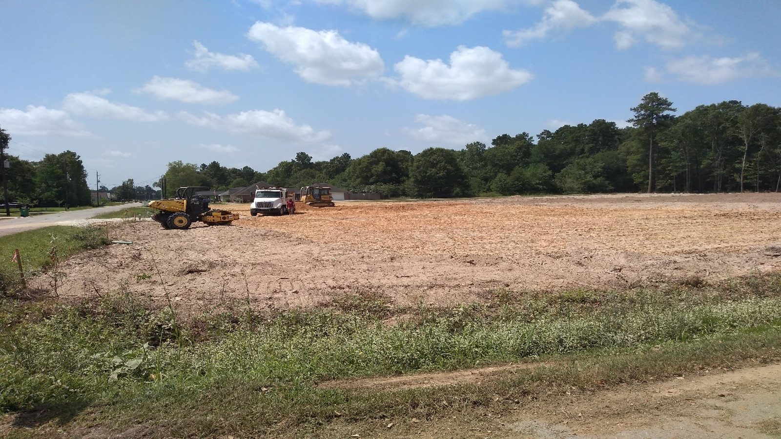 Development